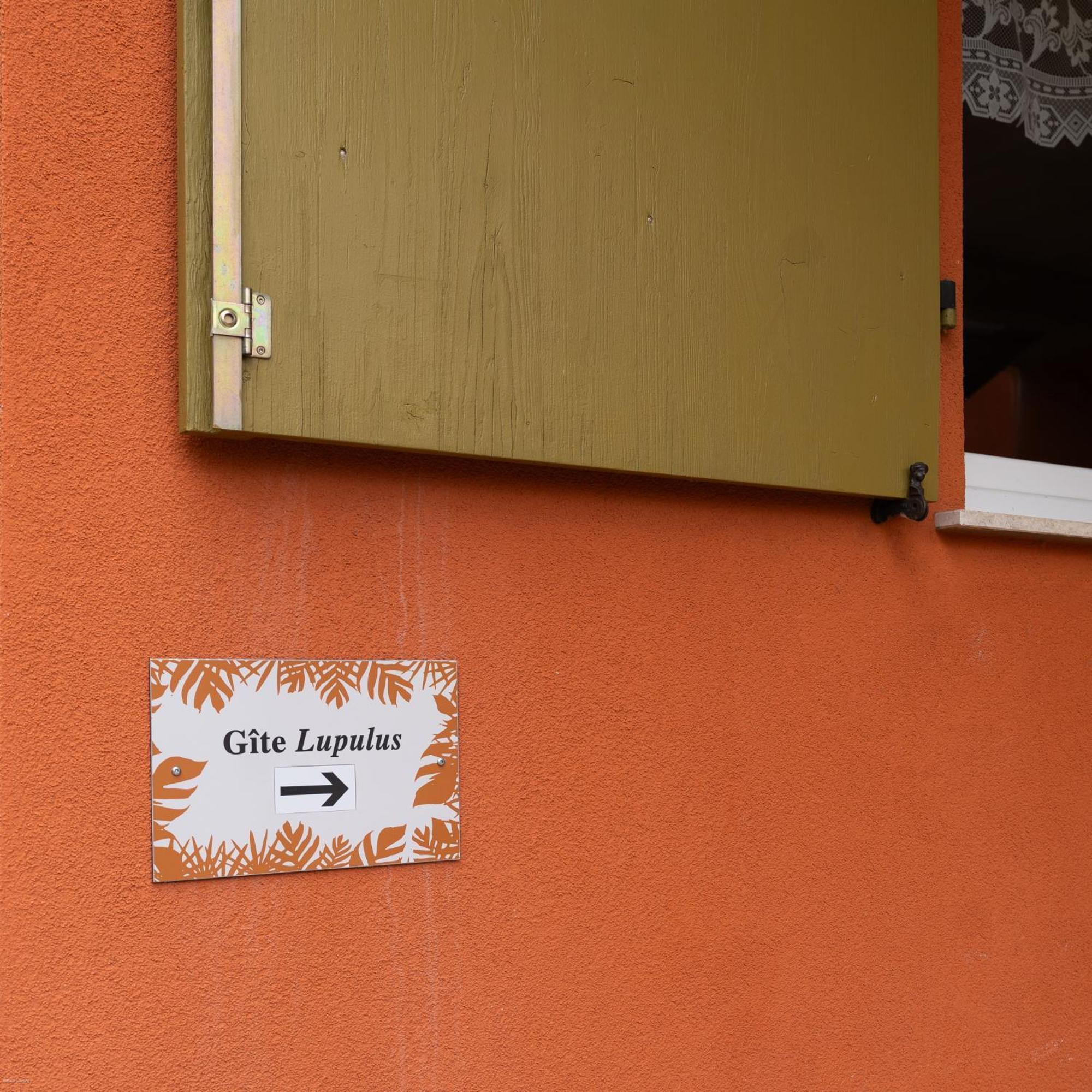 Appartement ' Le Lupulus' Bilwisheim Luaran gambar